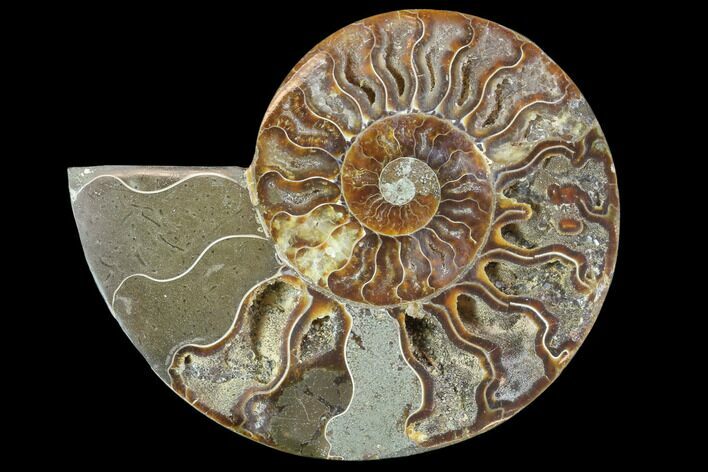 Agatized Ammonite Fossil (Half) - Madagascar #88254